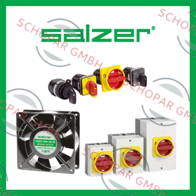 Salzer