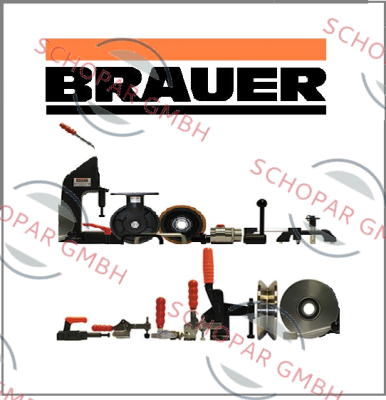 Brauer