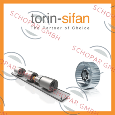 Torin-Sifan