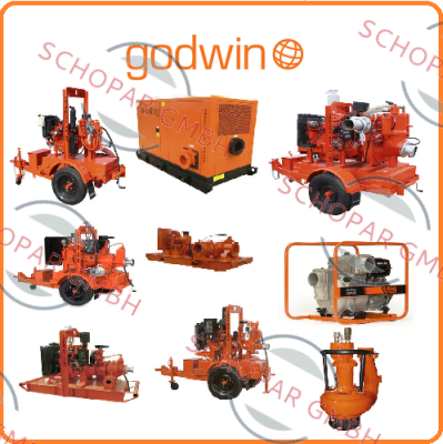 Godwin Pumps