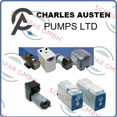 Charles Austen Pumps