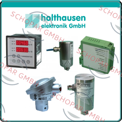 HOLTHAUSEN ELEKTRONIK