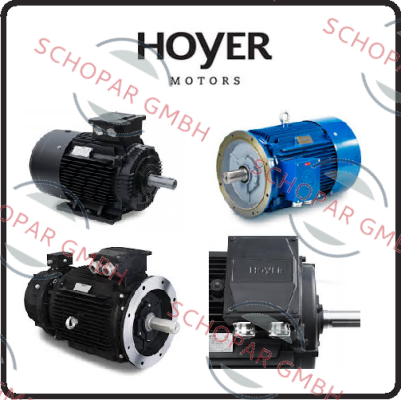 Hoyer Motors