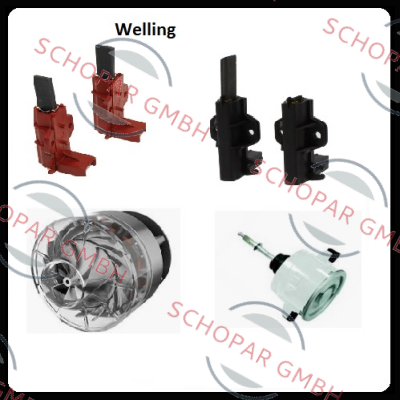 Guangdong Welling Motor