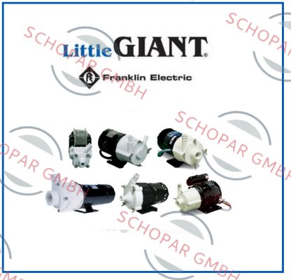 Little Giant