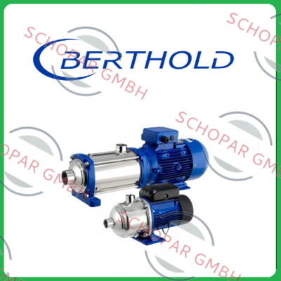 Berthold-LB 452  (50502-01) 