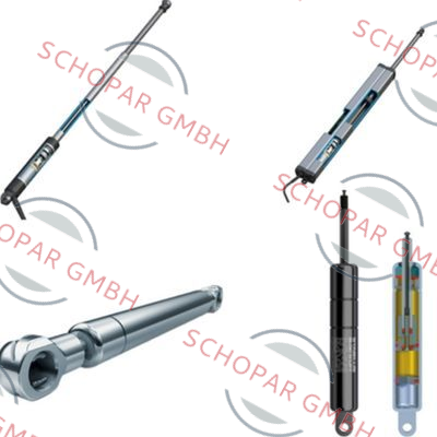 Stabilus-2459SZ 0500N 185/14 BC02, H18 XM-12 EC SN: C214E01805L