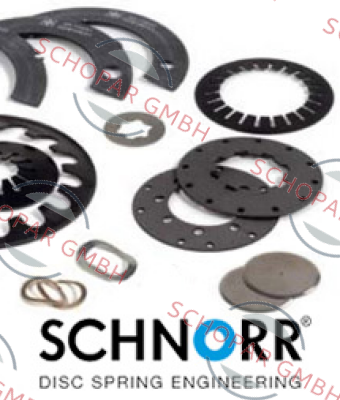 Schnorr-416300 (pack x1000) (stock)