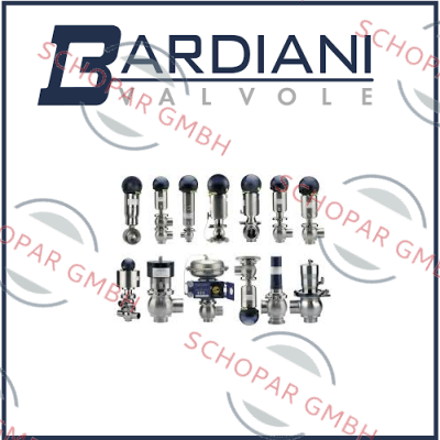 Bardiani Valvole-BBZK DN65-l SS VITON 316 LIN SE NO 