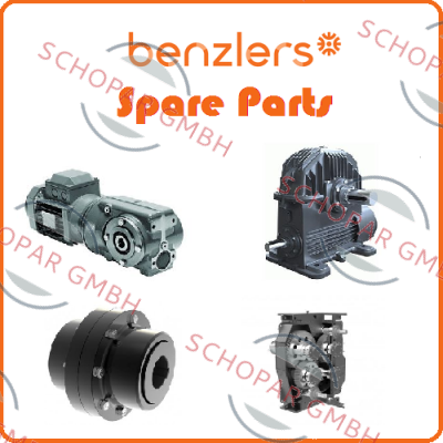 Benzlers-RD40/2R/D/H2/BH/4/IEC100/180/B14 