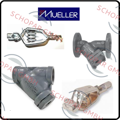 Mueller-456253 HPBV-10P