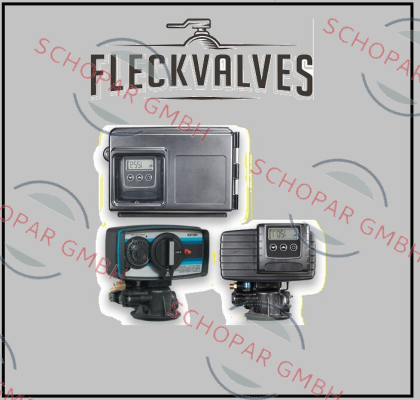 Fleck Valves-2900 