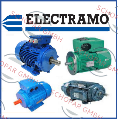 Electramo-TYPE:MA200 L8, N:221290130 