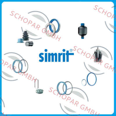 SIMRIT-24166736 