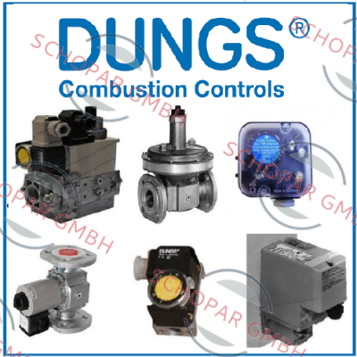 Dungs-MBC-3100-VEF-80 