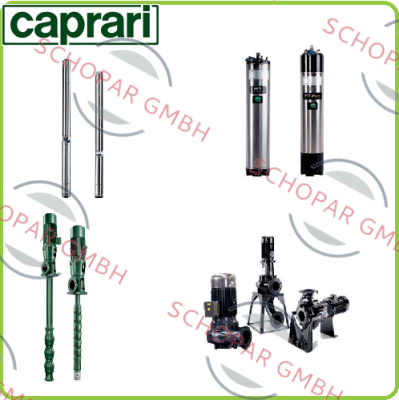 CAPRARI -Shaft for NC 200 – 315 