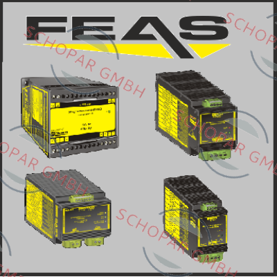 Feas-581724