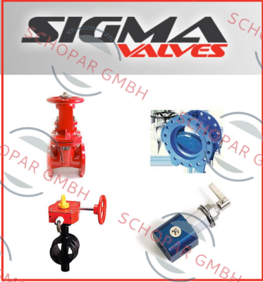 Sigma Valves-13QS39