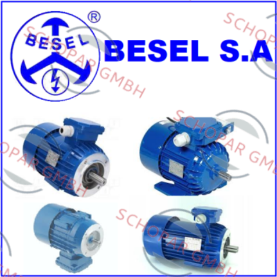 BESEL S.A.-2SIE 90 L-6