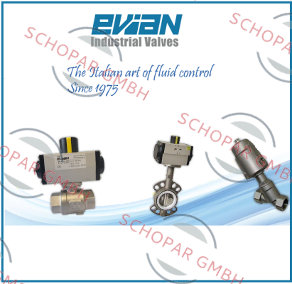 Evian- 4111 60 VRA25.70A.H00 