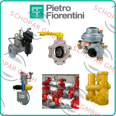 Pietro Fiorentini-DIVAL600/G 280MP PN16/25 DN25