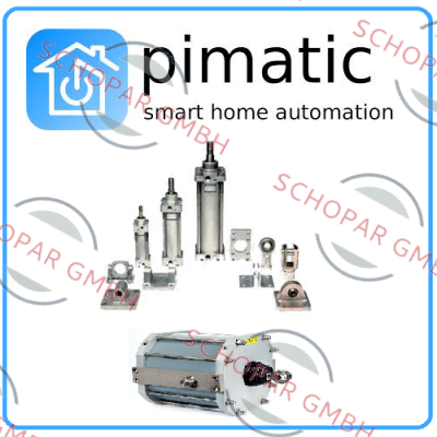 Pimatic-REPAIR KIT 5114-252/454 