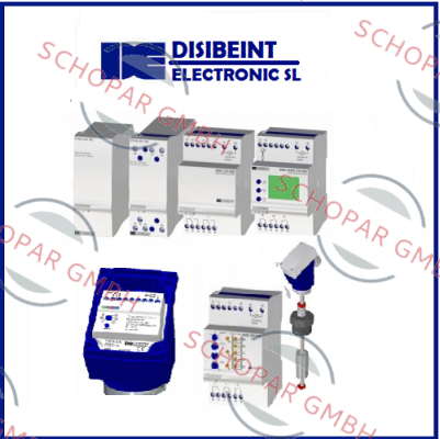 Disibeint-IMN TCM 1" 43650 INOX 1C V1 P06 F1 L125 C1 N1 