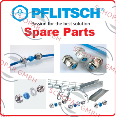 PFLITSCH-SZSS M6x10 VA  (Package with 100 pcs)