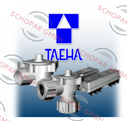 TAE-HA MACHINERY-Spare set for TH-4825-B, with coil 