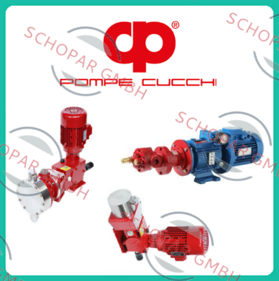 POMPE CUCCHI SRL-M0G005B0CDN0000 (without motor)