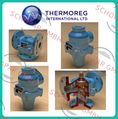 Thermoreg-M65TC8D-100-HA