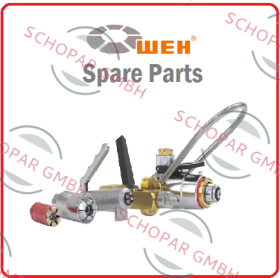 Weh-T W18 NPT 1/4