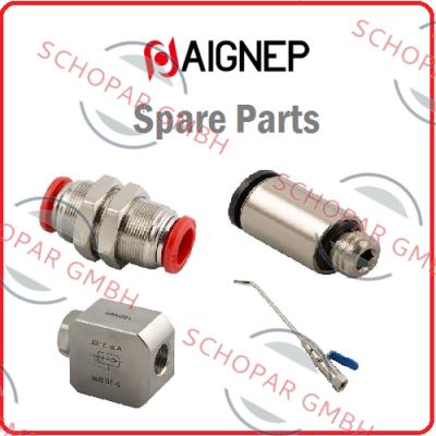 Aignep-G1/4 - 3025-1/4R