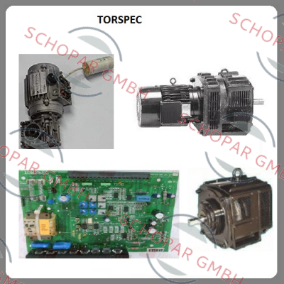 TORSPEC-Model 132TCD/6 -B5 p/n: 6123.2178-01