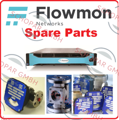 Flow-Mon-FMM-35-S-LP-3EEW-1CS-32F150-S3-D4