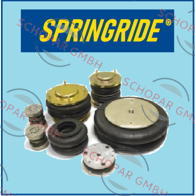 Springride-100399