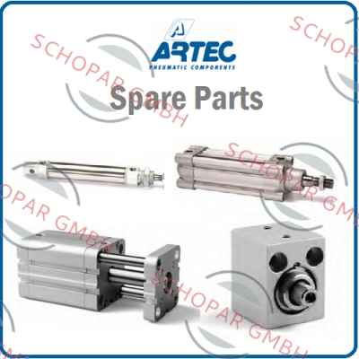 ARTEC-repair kit for PTM.08L.150.GS.F