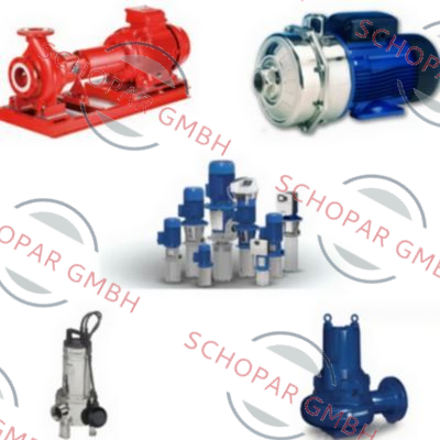 Lowara-SPARE PARTS OF C0500/306/D