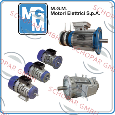 M.G.M MOTORI-engine with brake for Typ. BM 71 C2