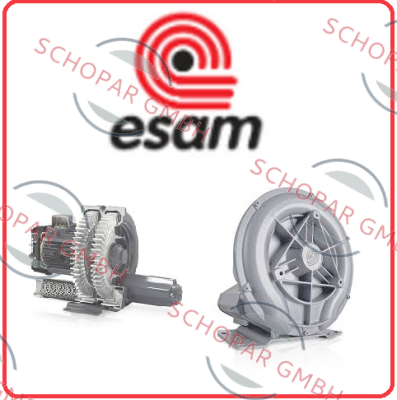 Esam-178767