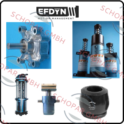 EFDYN-RCOS 2X3.5 BS 04 47 54