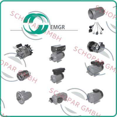 EMGR-2-FL-brake für Motor:  DKF 80LX2-F/973-5TK/53