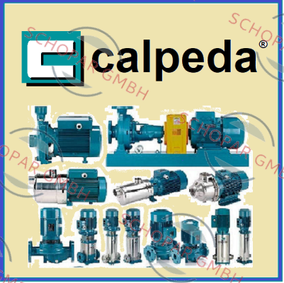 Calpeda-mechanical seal from CTM 61/A