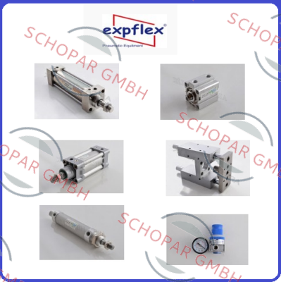 EXPFLEX-SDA 40-10S