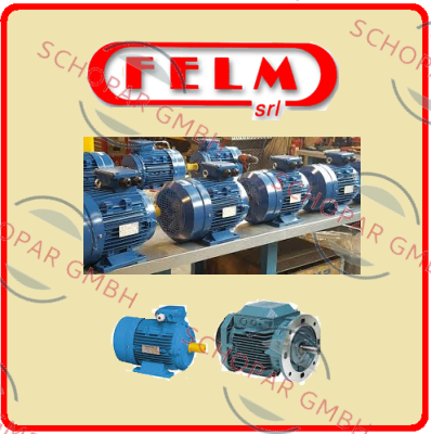 Felm-F3-132S-4　IEC60034-1