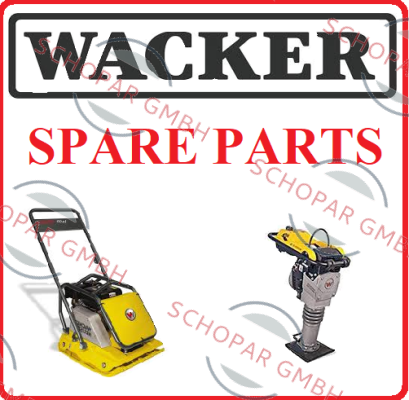 Wacker-ELASTOSIL E10