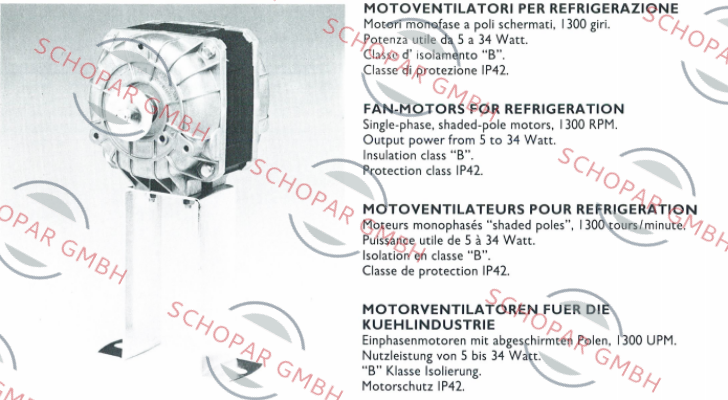 Euro Motors Italia-82-2010