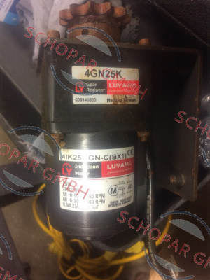 Luyang Gear Motor-4IK25RGN-C(BX1)