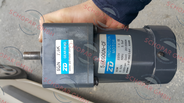 ZD-Motors-5IK60GN-CF