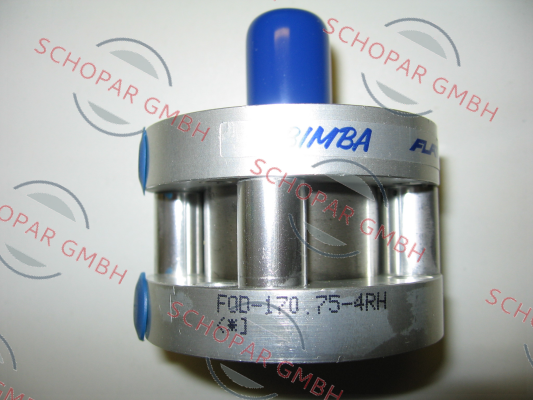 Bimba-FOD-170.75-4RH